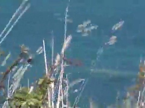 côtes d'armor...nature sauvage