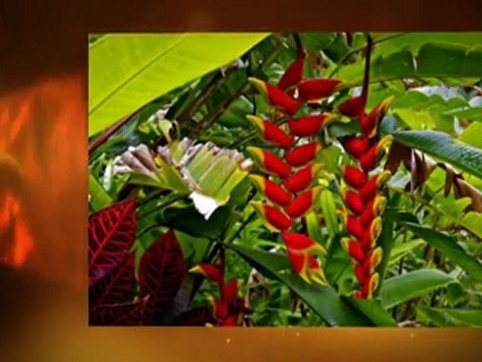 Best Bargain For Canon EOS SLR Digial Camera