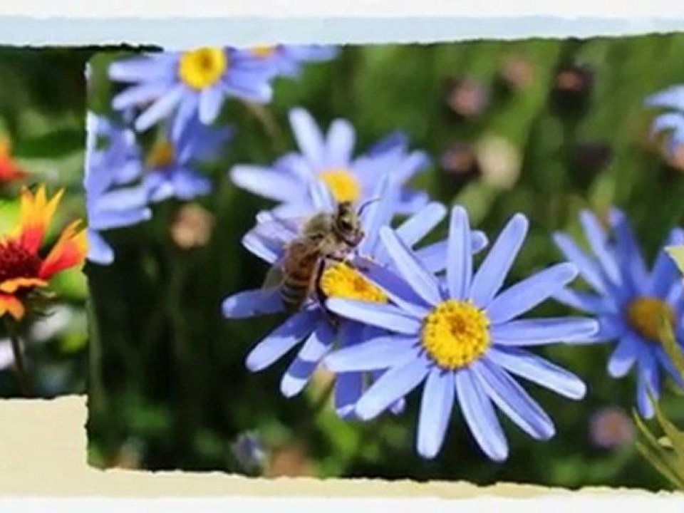 Canon EOS SLR Camera - How To Find The Cheapest Bargain