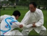 Taiji Style Chen : Application martial de la forme Sanshou