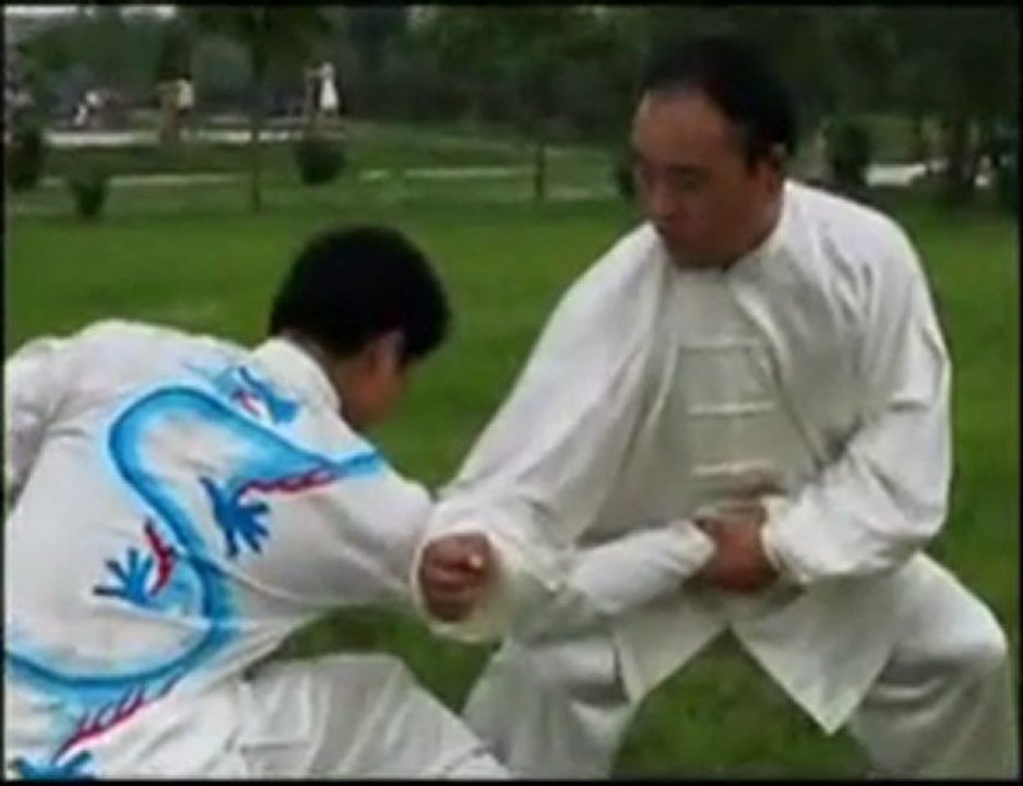 Taiji Style Chen : Application martial de la forme Sanshou