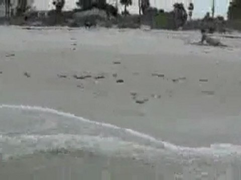 Florida Gulf Beaches | Oil Drilling