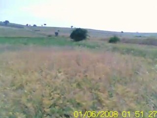 Bıldırcın sezonu açılışı