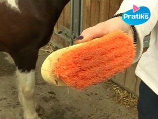 Equitation - Comment utiliser le bouchon ?