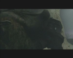 Shadow of the colossus 2) Patte sensible s'abstenir