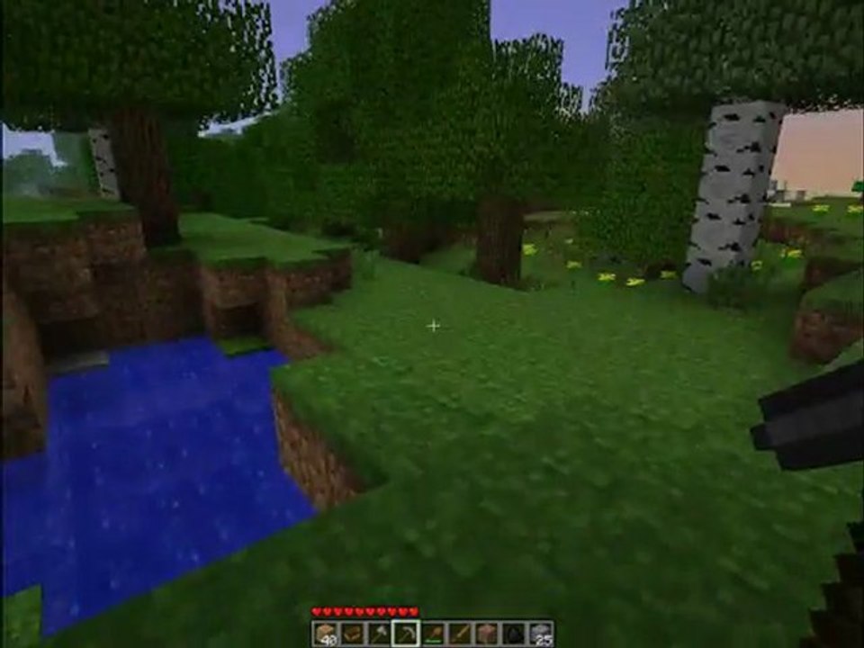 Minecraft - Survivafail !