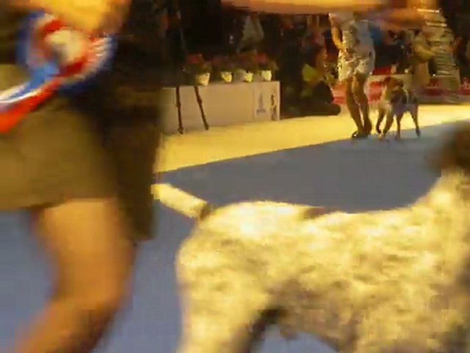 Mondiale 2011 Groupe 7