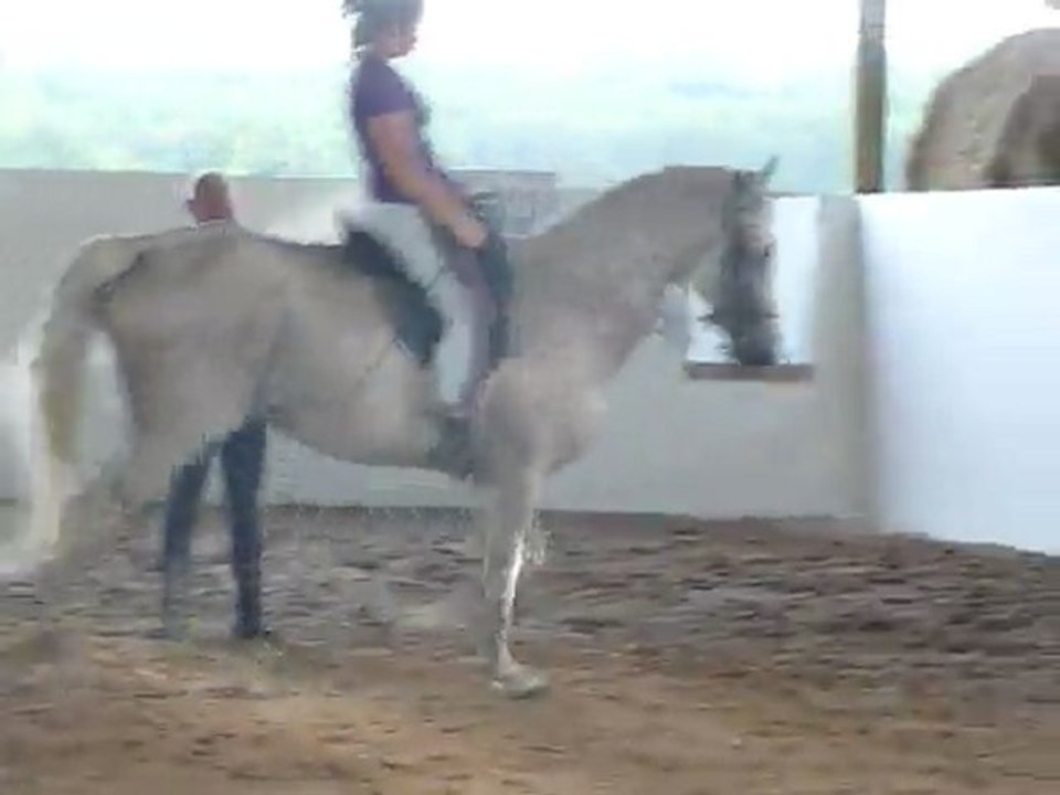 Chez B, Bul et l'iberique