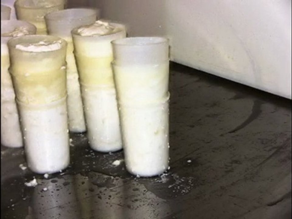 Fabrication du Fromage de chèvre AOC "Charolais"