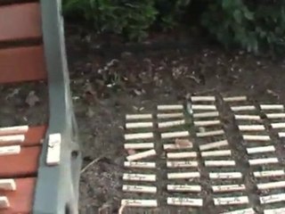 Aurillac 2011 Festival.