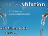 Ablution - Wudu_ - Shaykh Gilles Sadek aicp