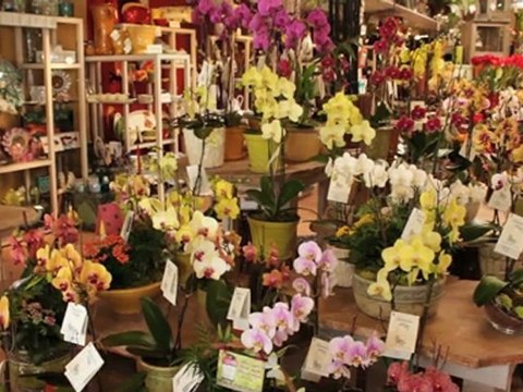 La Jolla Florists Adelaide's Florists La Jolla CA