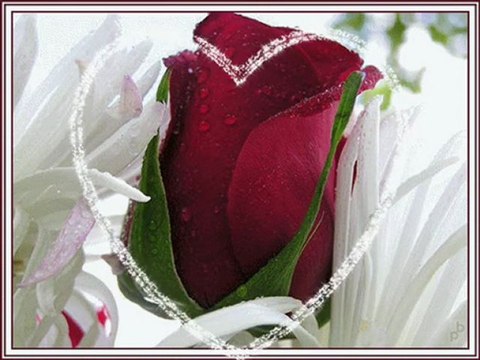 YELİZ ARAL&SEN UNUTTUN AMA BEN UNUTMADIM(SEVDAMIZ TOKAT)