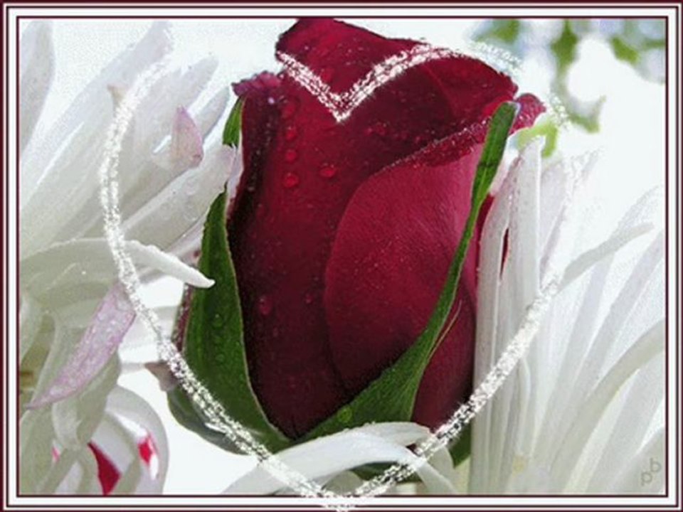 YELİZ ARAL&SEN UNUTTUN AMA BEN UNUTMADIM(SEVDAMIZ TOKAT)