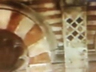 mosquée zitouna tunis tunisie (1)