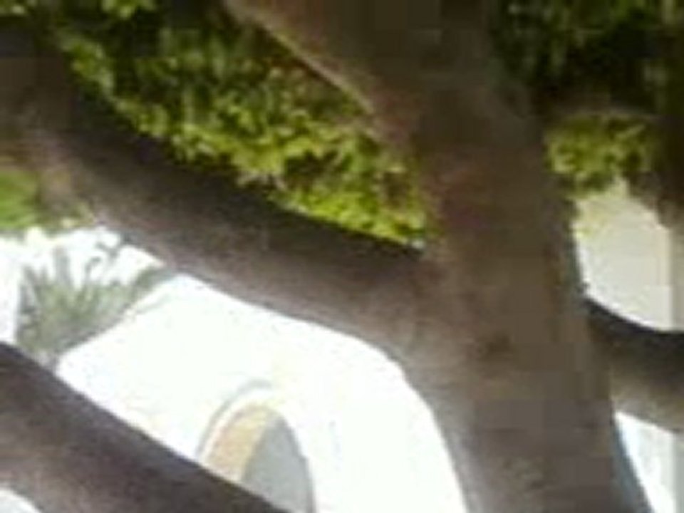 mosquée sidi mtir mahdia tunisie