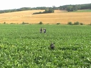 Quand les LFD-Prod galère en vacance