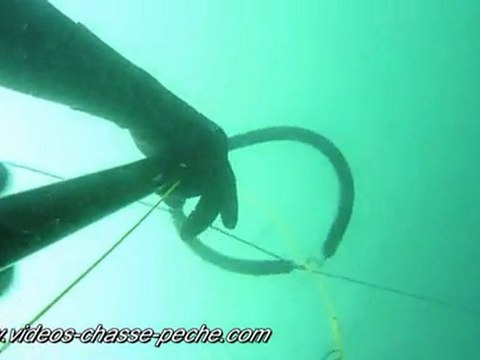 Muges - Chasse sous-marine - APN Panasonic Lumix TZ7