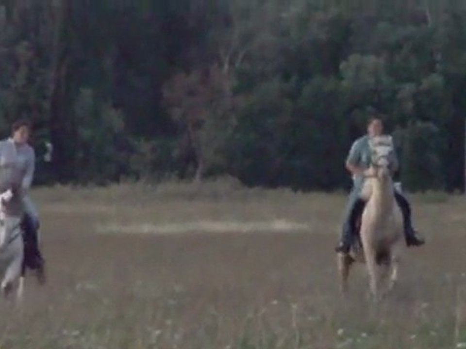 Galop dans les champs