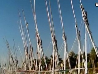 Shadia_Ya.7abibty.Ya.Masr_شاديـه - يـاحبيبتـى يـامصــر