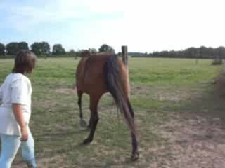 IBM Regional Katia Overview