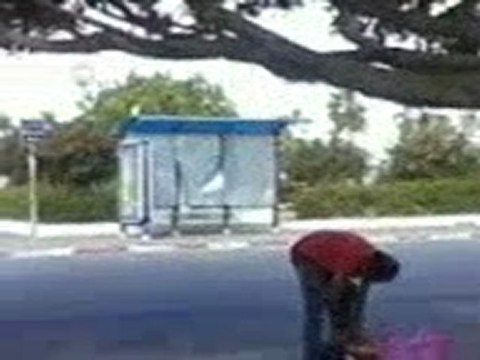 sncft gare avenue farhat hached mahdia tunisie