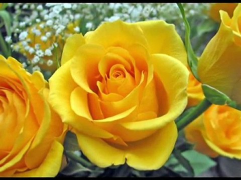 SÖNMEZ ARTIK YÜREĞİMDE YANAN BU SONSUZ ATEŞ