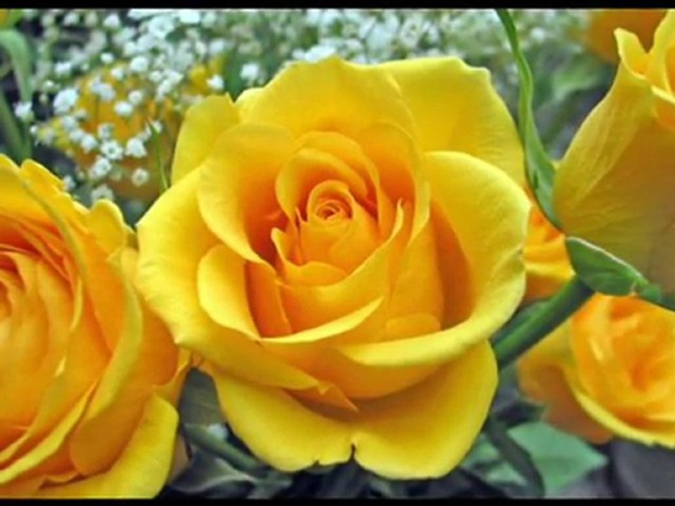 SÖNMEZ ARTIK YÜREĞİMDE YANAN BU SONSUZ ATEŞ