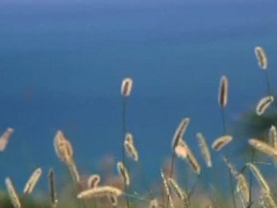 My Video