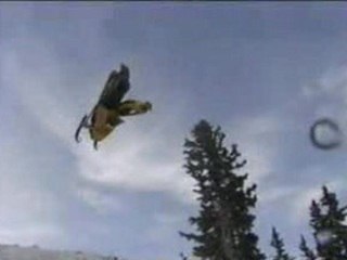 jakass moi en ski-doo