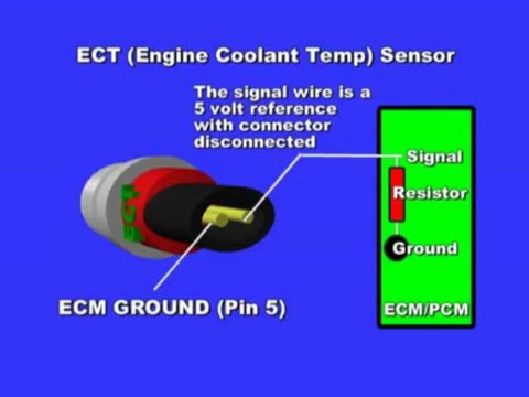Engine-Coolant-Temperature-Sensor