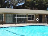 Las Palmas Apartments in Vista, CA - ForRent.com