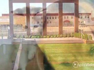 The Lyric at Carleton Place Apartments in Saint Paul, ...