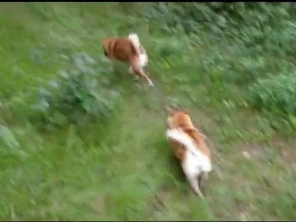 Country walkways