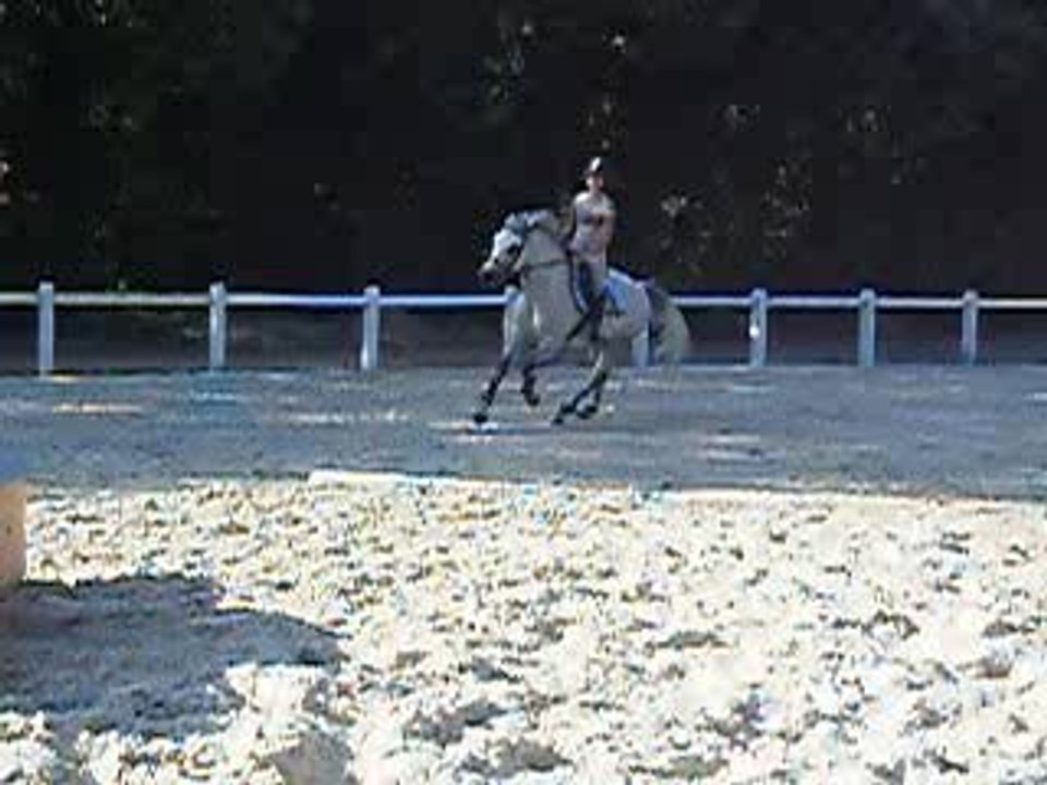 St George (13)