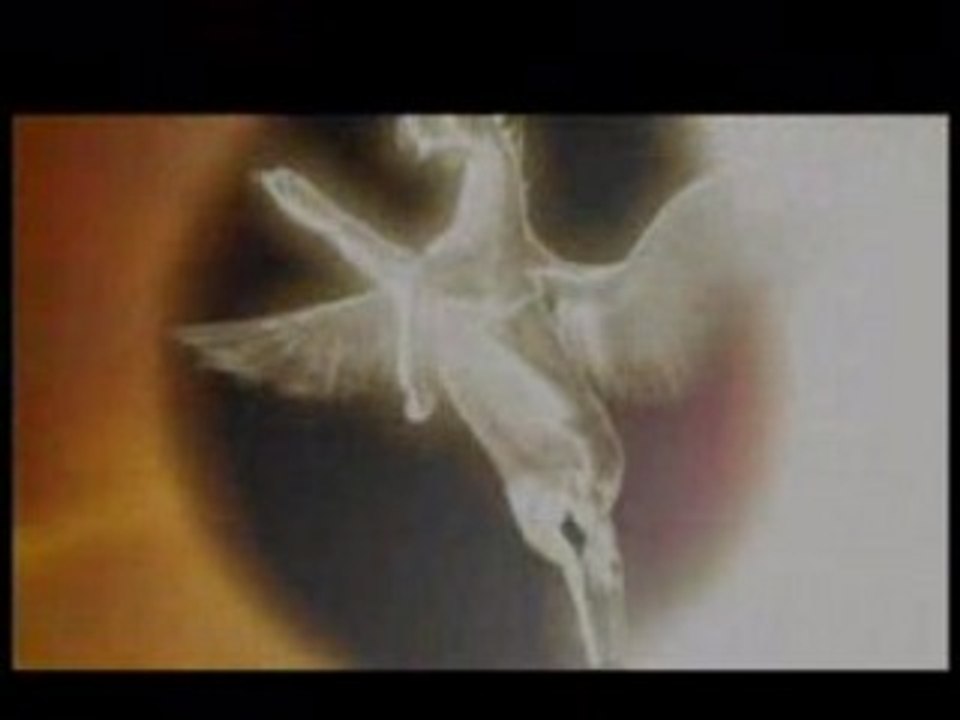 SAW