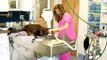 Croton Animal Hospital | Veterinarian Croton on Hudson New York | Putnam County Vets