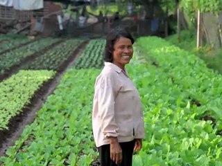 Understand MicroWorld 30 seconds