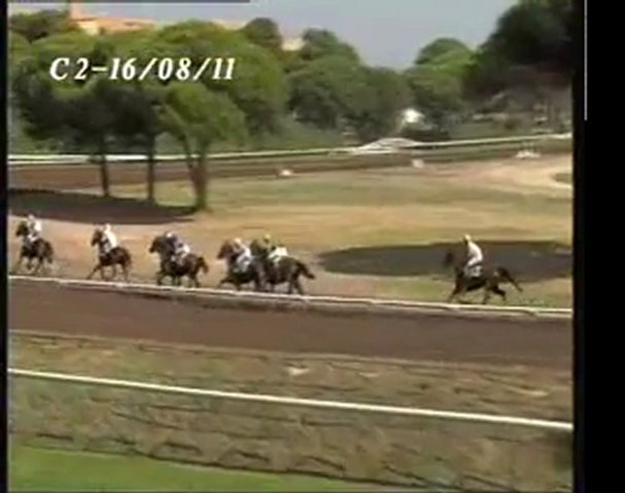 QUITO DU MANCHOT Hyères