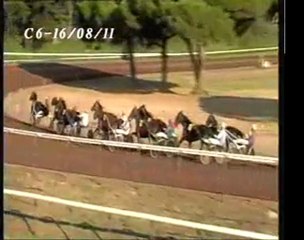 PANAMA DU RIB Hyères