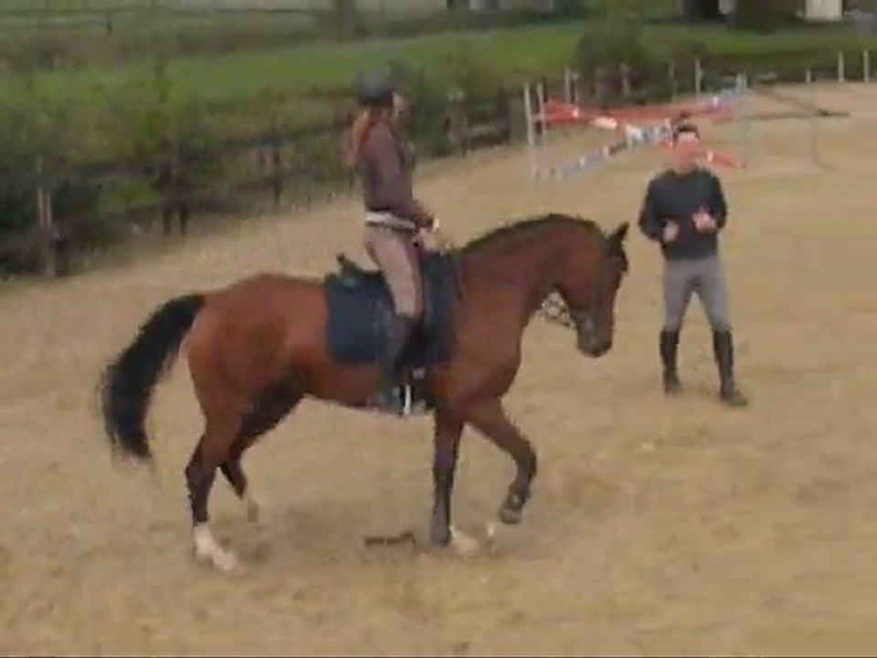 fin dressage