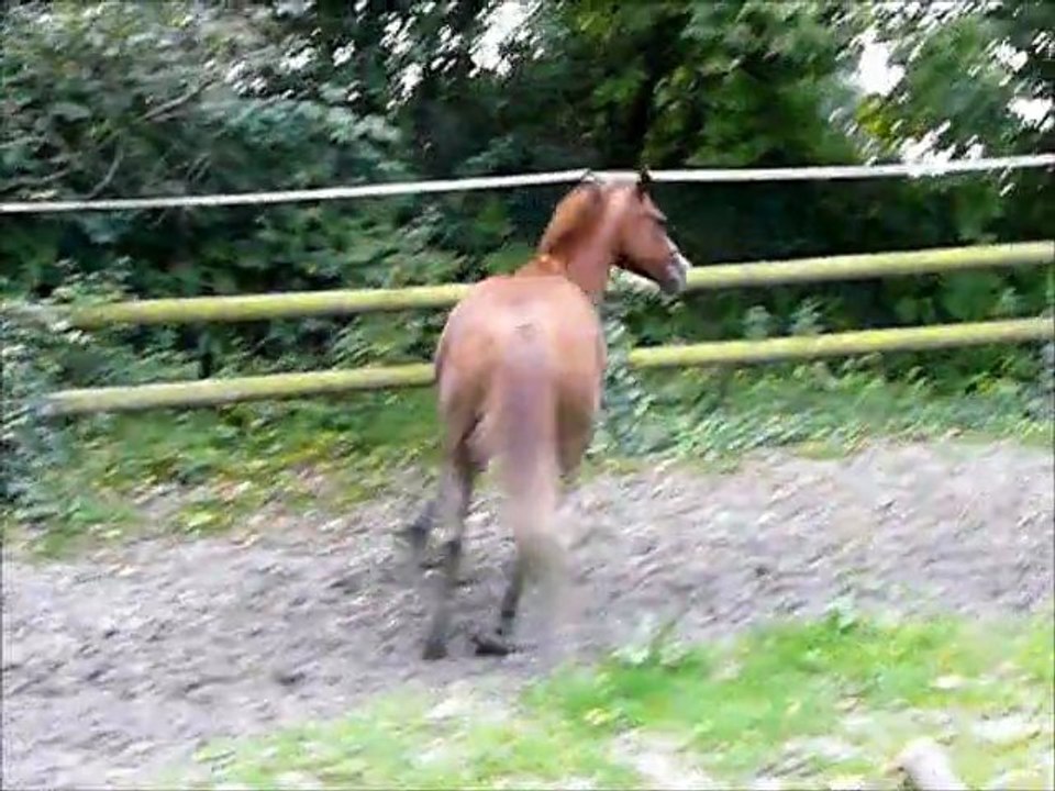 kandie saut liberté