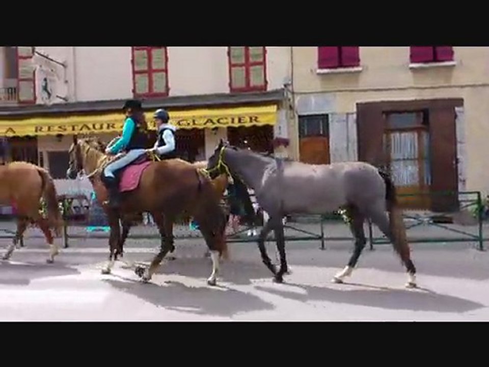 4 de nos Akhal Teke défilent à Mens