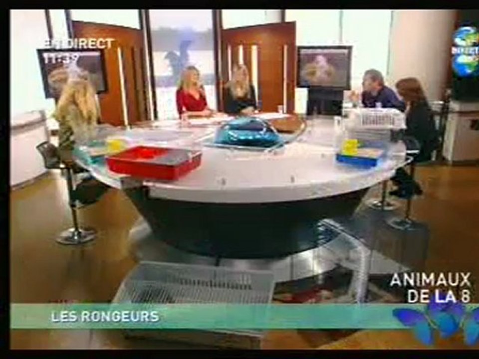 Direct 8 partie 4
