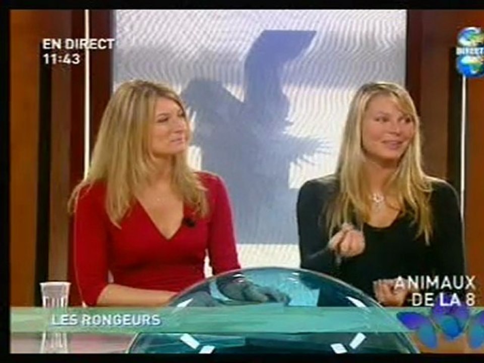 Direct 8 partie 5