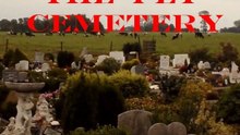 The PET CEMETERY