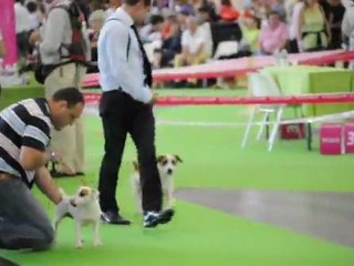 The Secret is Out Rags Puma  lors de la Mondiale 2011 à Paris