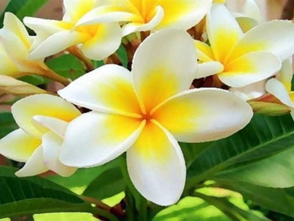 TRNC FOREVER!!!!  Kuzey Kibris Turk Cumhuriyetini Tanitiyoruz!!!! tesekkurler KKTC sevdalilarimiza...