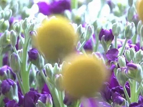 The Language of Flowers by Vanessa Diffenbaugh Book Trailer