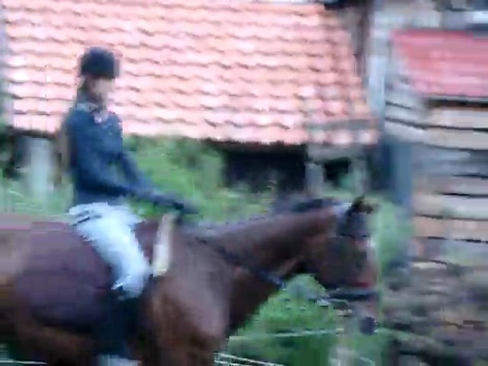 MOV09678